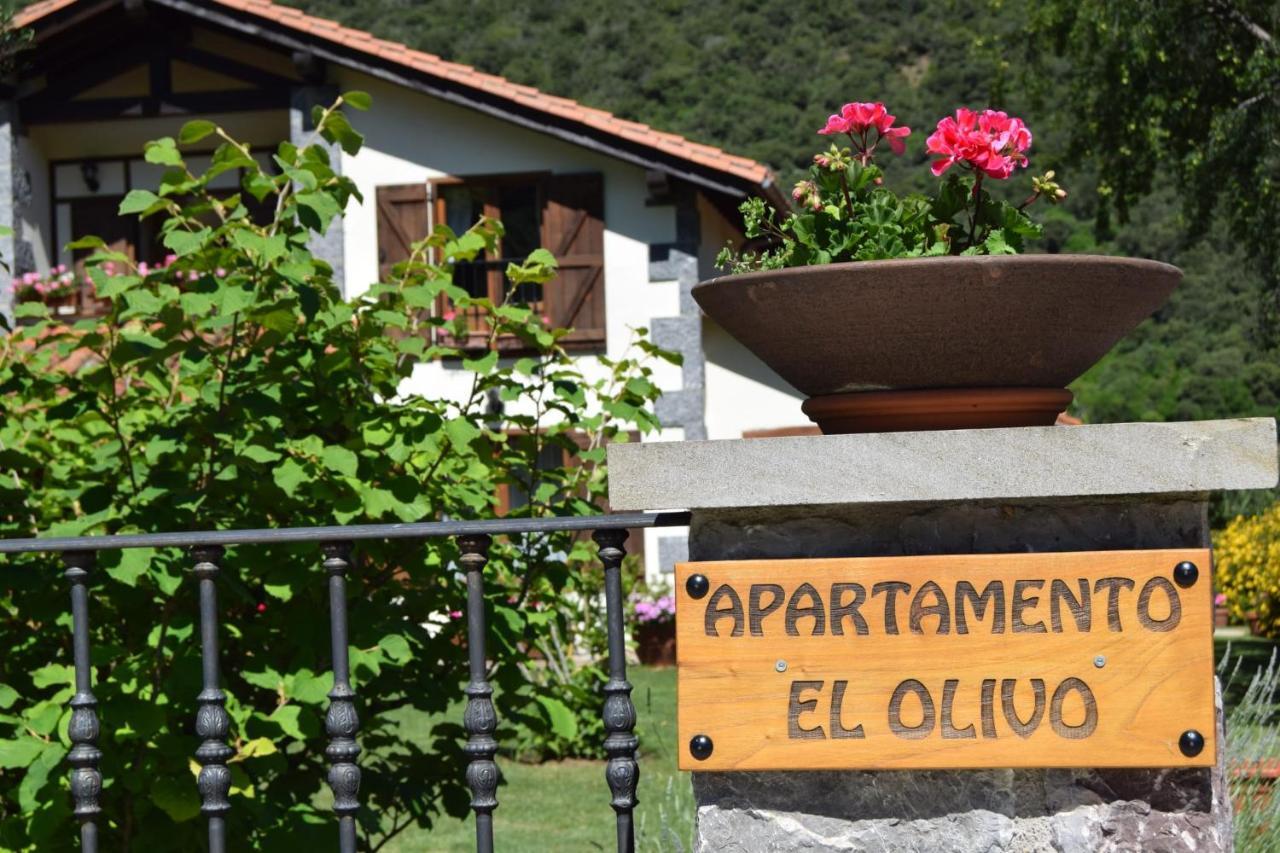 Excepcional Apartamento El Olivo اوخيدو المظهر الخارجي الصورة